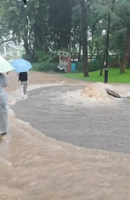 暴雨致深圳千余公园关闭，电竞选手户外训练与赛事安排受波及